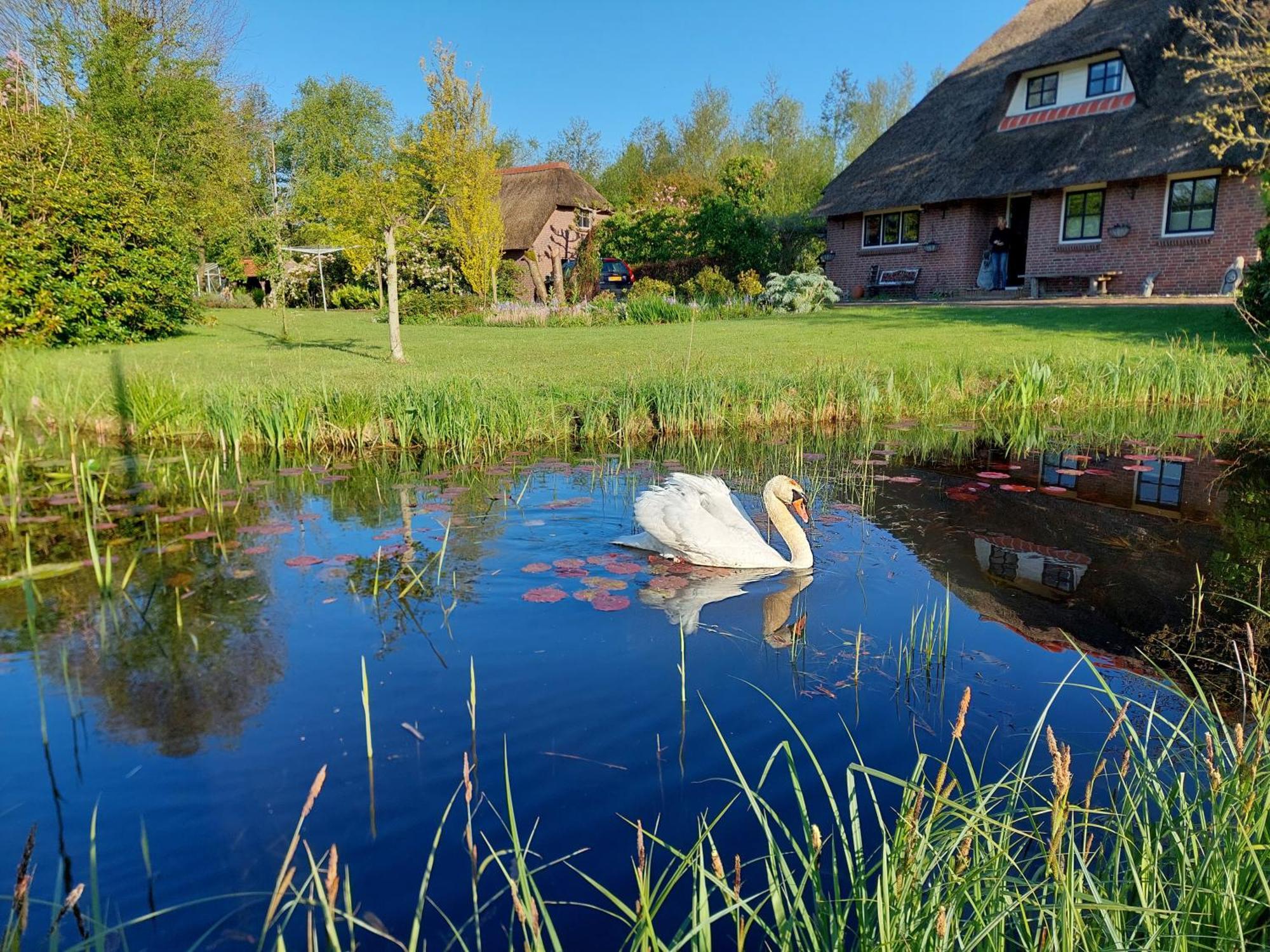 Giethoorn Lodge מראה חיצוני תמונה